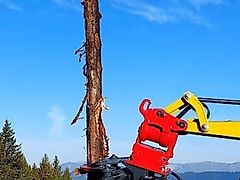 Fällgreifer RFG 200 MS01 NEU 1,5 - 3,0to Einsatzgewicht NEU